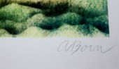 Born Arábie4